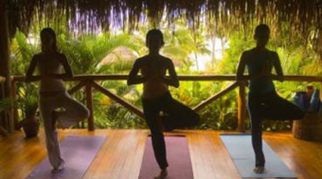 Yoga Shakti Wellness Center
