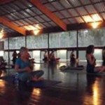 holman health connections yoga
