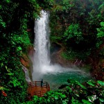 beautiful small waterfall at La Paz Waterfall Gardens