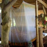 bed with mosquito net at ojo del mar